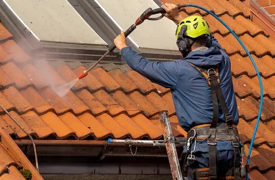 Démoussage et hydrofuge de toiture à Bachant